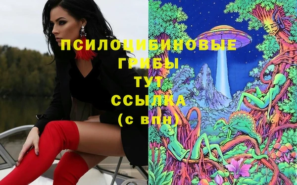 скорость Алексеевка