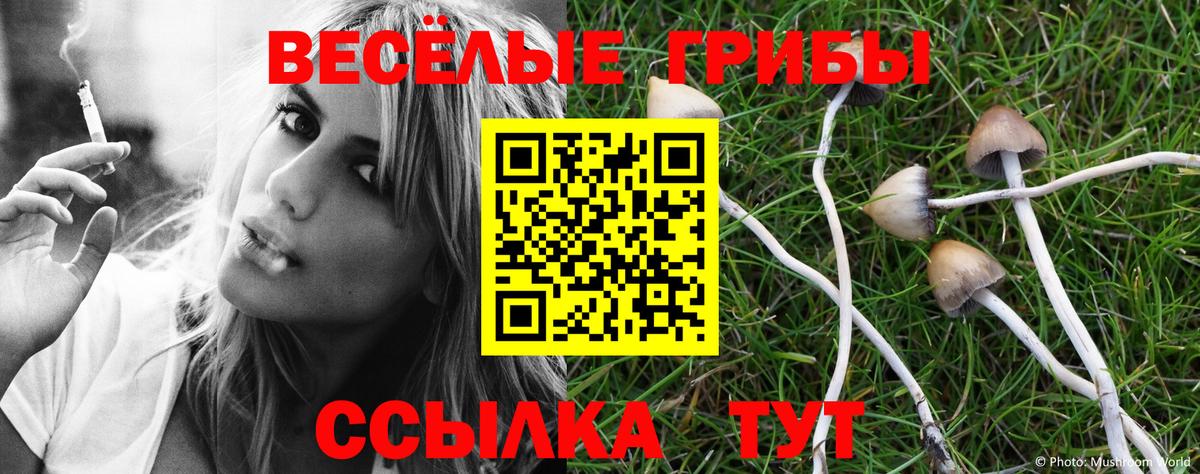 Псилоцибиновые грибы Cubensis  Вход с VPN  Галлюциногенные грибы Magic Shrooms  Новороссийск 